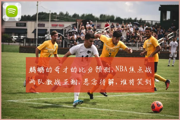 鹈鹕的奇才的比分预测,NBA焦点战两队激战正酣,悬念待解,谁将笑到最后