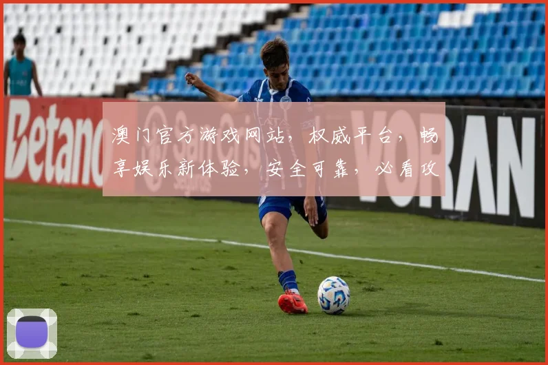 澳门官方游戏网站，权威平台，畅享娱乐新体验，安全可靠，必看攻略