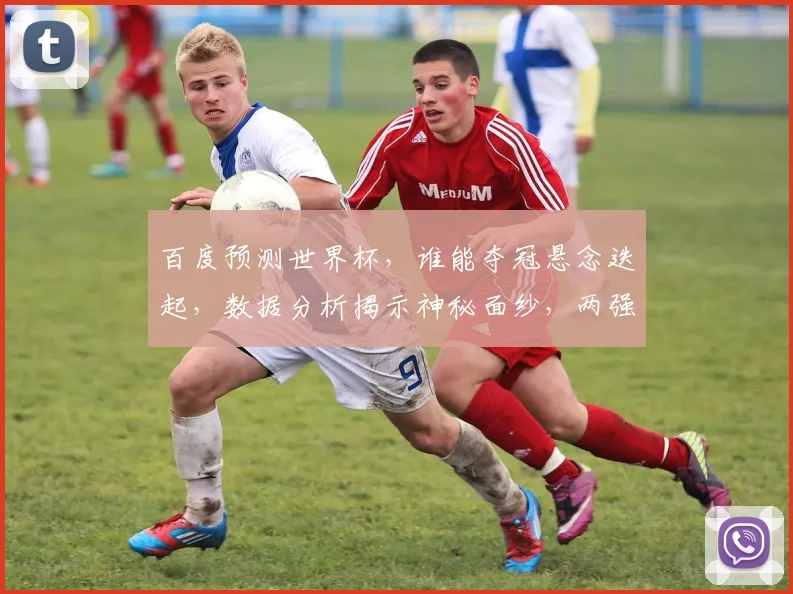 百度预测世界杯，谁能夺冠悬念迭起，数据分析揭示神秘面纱，两强相遇逗笑世界