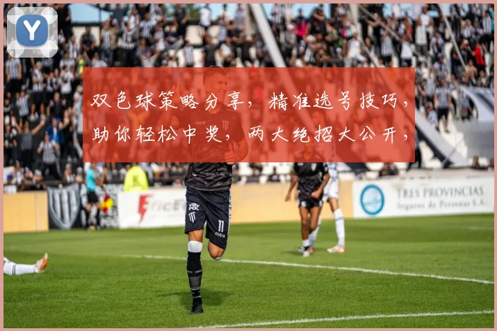 双色球策略分享，精准选号技巧，助你轻松中奖，两大绝招大公开，不容错过