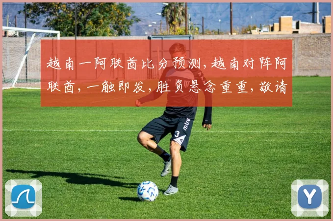 越南一阿联酋比分预测,越南对阵阿联酋,一触即发,胜负悬念重重,敬请期待