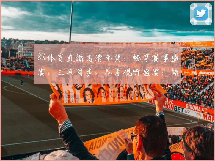 8K体育直播高清免费，畅享赛事盛宴，三网同步，尽享视听盛宴，错过等一年