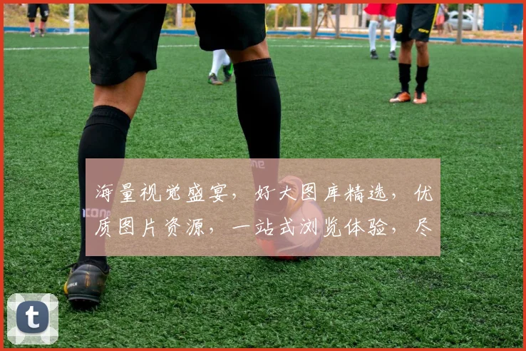 海量视觉盛宴，好大图库精选，优质图片资源，一站式浏览体验，尽享视觉狂欢