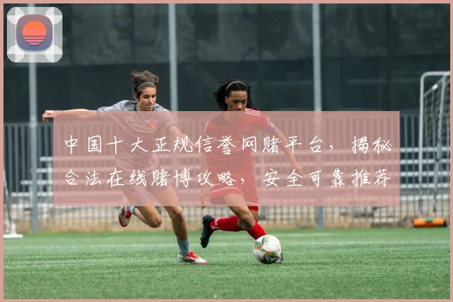 中国十大正规信誉网赌平台，揭秘合法在线赌博攻略，安全可靠推荐