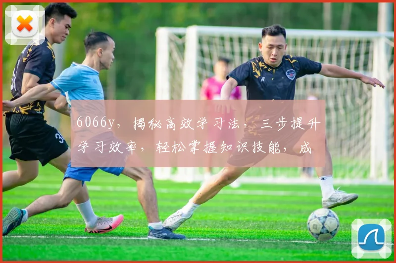6066y，揭秘高效学习法，三步提升学习效率，轻松掌握知识技能，成就卓越人生