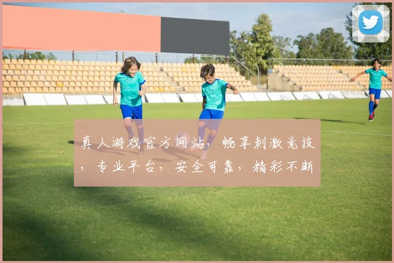 真人游戏官方网站，畅享刺激竞技，专业平台，安全可靠，精彩不断，一触即达